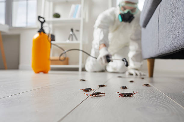 Trusted Fumigation Services service in Watsonville, CA - Nex Pest Control