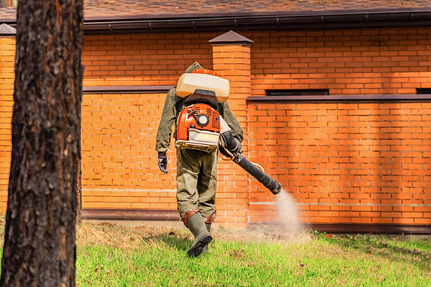 Trusted Termite Control service in Watsonville, CA - Nex Pest Control